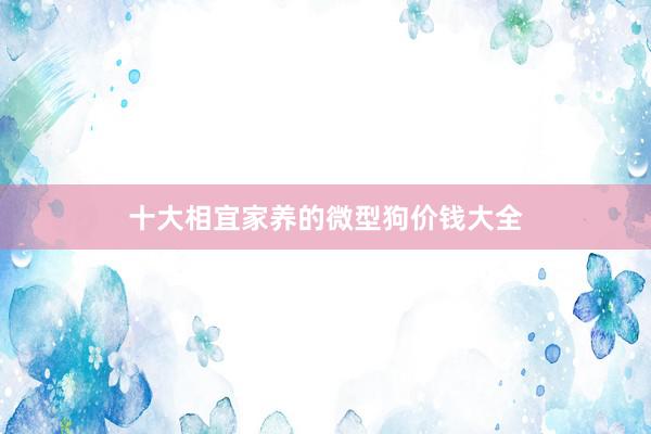 十大相宜家养的微型狗价钱大全