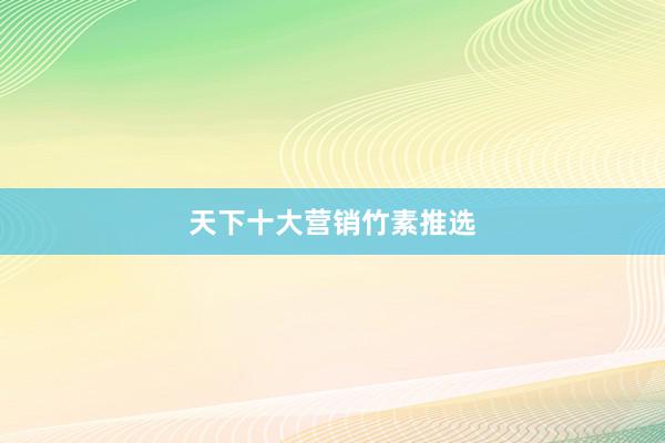 天下十大营销竹素推选
